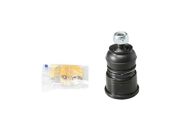 Rotule de suspension (Rotule de pivot) AISIN JBJHO-013